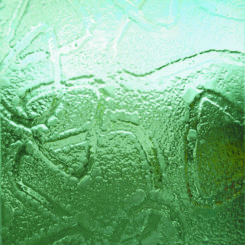 SK5