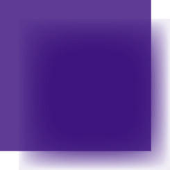 SLCP1 DEEP PURPLE