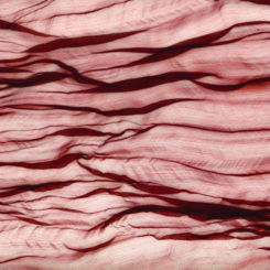 SLF4RE RED