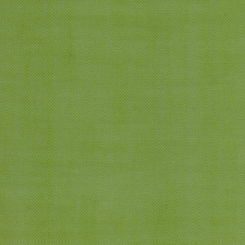 SLF9LI LIME