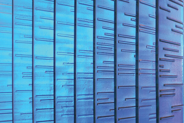 cumberland-hotel-kiln-formed-glass01_MAIN_WEB